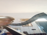 L'organista Paola Dipietromaria studia arpa al Conservatorio di Alessandria